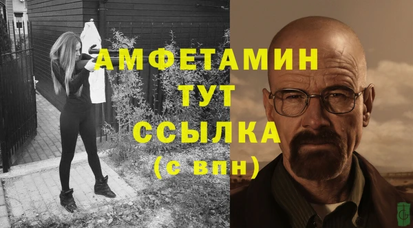 стафф Бородино