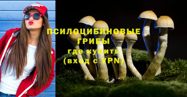 apvp Бронницы