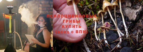 apvp Бронницы
