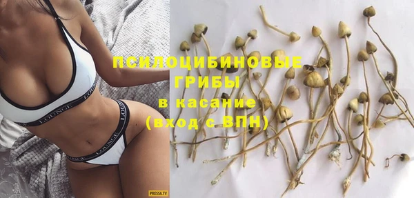 стафф Бородино