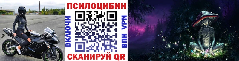 купить наркотики цена  Новороссийск  Галлюциногенные грибы Psilocybine cubensis 
